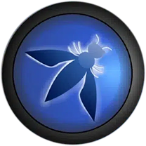 OWASP